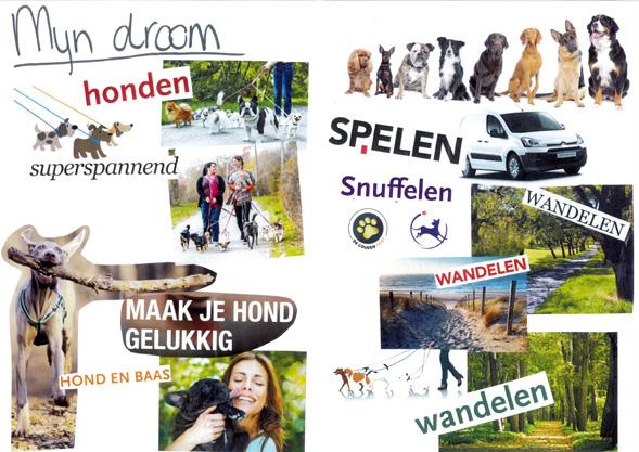 Les 9 Hoe ga ik verder? Werkblad Mijn moodboard presenteren Je hebt een moodboard gemaakt over je toekomst. In de laatste les vertel je aan de groep over je moodboard. 1.