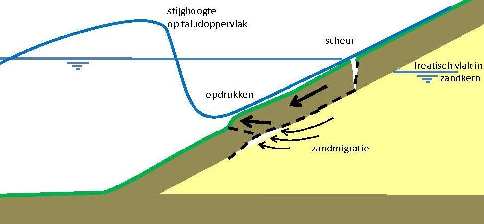 Hoofdstuk 3 Grasbekleding afschuiven buitentalud De kleilaag kan als gevolg van een te groot drukverschil opdrukken, afschuiven of een combinatie van beide mechanismen vertonen.