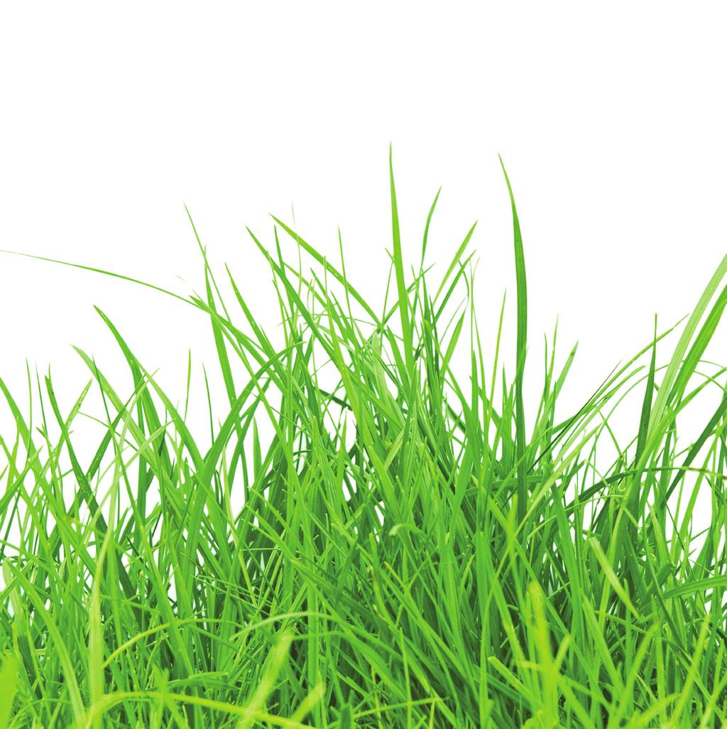2014 GRAS GIDS Turfgrass Guide Sport Gazon Recreatie Berm en dijk