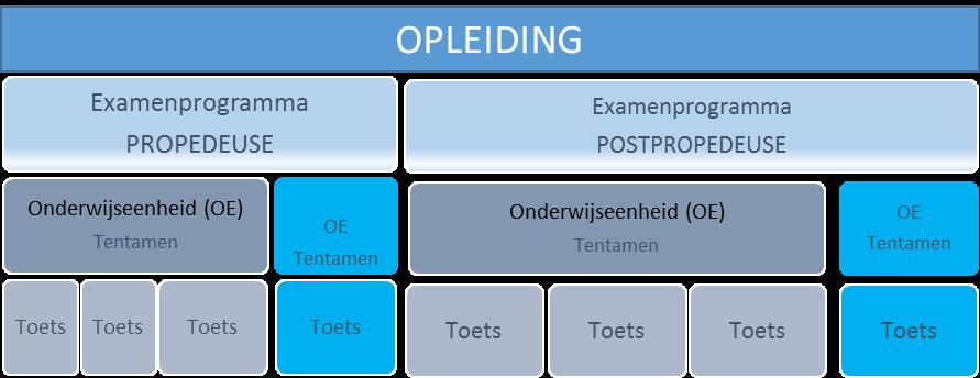 College van Bestuur (CvB) Bestuur van de Stichting Avans dat ook het instellingsbestuur van Avans Hogeschool is. Cum laude Met lof (Latijn). Deeltijd Deeltijdonderwijs is hoger onderwijs.