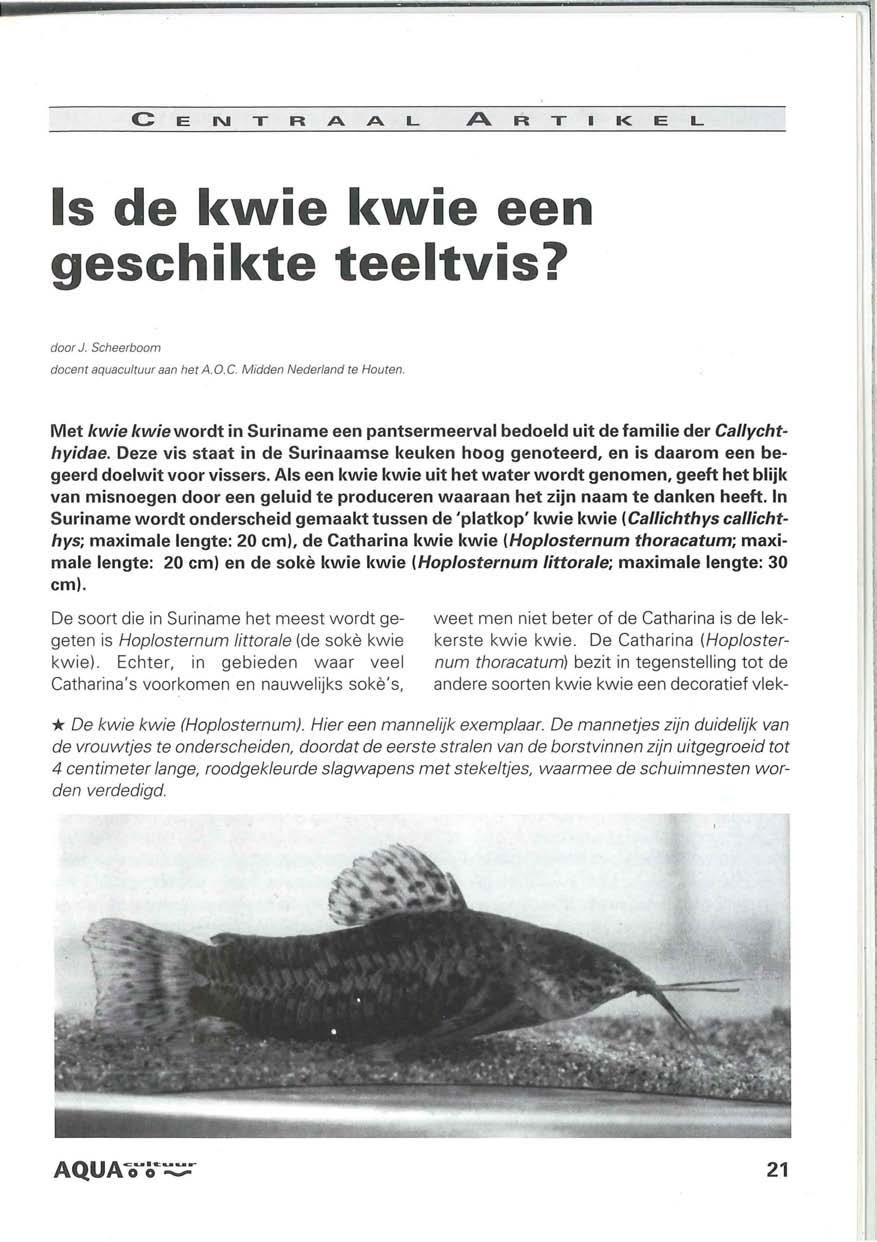 C E N T R A A L ART K E L Is de kwie kwie een geschikte teeltvis? door J. Scheerboom docent aquacultuur aan het A.O.G Midden Nederland te Houten.