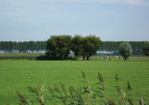 Sint-Gillis-Waas Rode Moerpolder Sint-Nilaas RUP Botermelkstraat-Heimolenstraat Voorbereiding herziening GRS/opmaak Beleidsplan Ruimte Omschrijving: Het Gemeentelijk Ruimtelijk Structuurplan