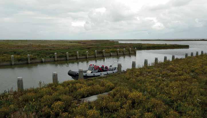 4 Planten 4.1 Jaarverslag Plantenwerkgroep 2017 In 2017 hebben we weer veel (liefst 17) excursies gehouden.