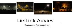 Colofon Lieftink Advies E: heleen@lieftinkadvies.