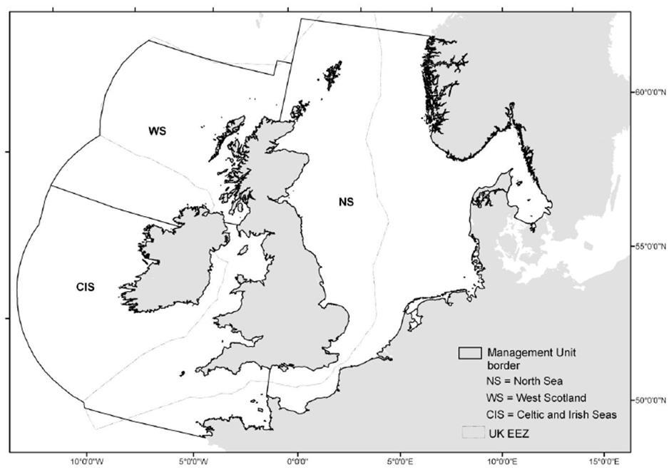 Voor onderwatergeluid en de effecten op de bruinvis is gekeken naar de management units gedefinieerd door ICES op verzoek van de Europese Commissie en OSPAR commissie (zie figuur 3).