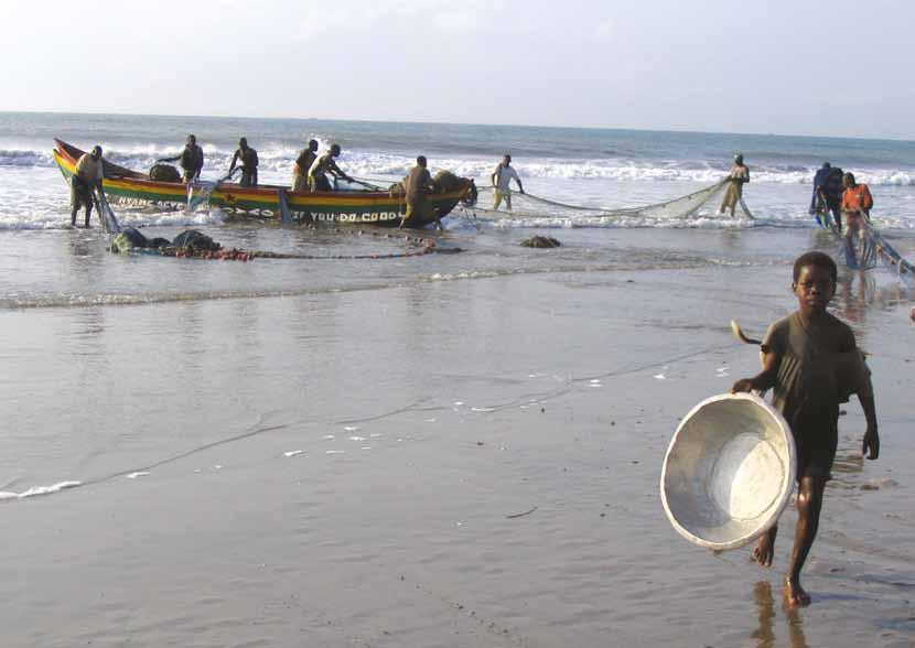 Lokale visserij in Ghana. de bescherming van de voedselzekerheid en de werkgelegenheid van de lokale bevolking ondersteunen 9.