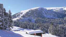 Met de skipas kunnen er in totaal 4 skigebieden worden aangedaan (Pampeago, Cavalese, Alpe Lucia en Passo Role) en ook het kleine Oclini.