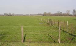 In de 20e eeuw kwamen er tractoren en steeds grotere machines en was het lastig om met kleine stukjes grond te werken.