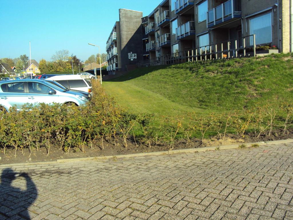 Meriusstraat (flat) Beplanting aan voorzijde,