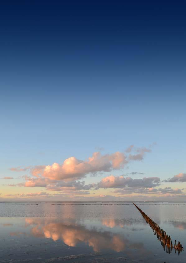 Voorwoord De Waddenzee is een uniek gebied en sinds 2009 UNESCO-Werelderfgoed. Het is s werelds grootste aaneengesloten ecosysteem van zand- en moddervlakten dat droogvalt tijdens eb.