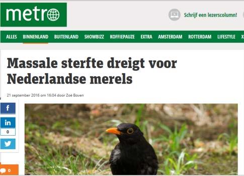Time-line USUV outbreak the Netherlands Start notifications unusual die-off black birds at DWHC Start