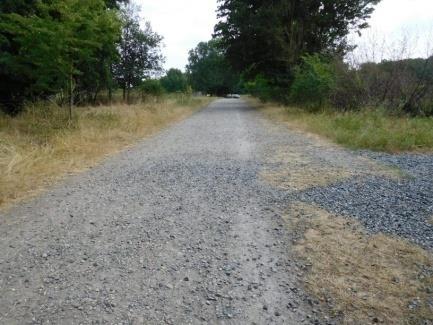 21. Het pad (16) naar het platform op de van Schaikweg heeft een stevige vaste structuur. De bovenlaag bestaat uit grove steenslag. Te grof voor rolstoelen. 21.1. Zorg dat er een pad is dat voldoende breed is voor rolstoelen (minimaal 1,2 m), dat vlak, berijdbaar en herkenbaar is.