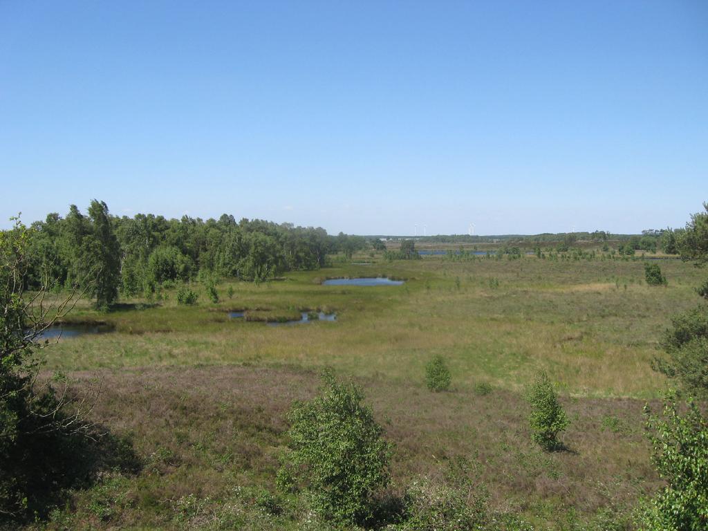 Waterhuishouding en herstelbaarheid van hoogveenvennen Verslag veldwerkplaats Nat zandlandschap Pikmeeuwenwater, 16 juni 2010