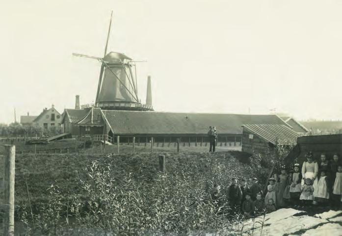 De zaagmolen van de firma Swart, die even ten noorden van de stad nabij de IJssel stond. De fotograaf stond iets noordelijk van de molen, zodat de kijkrichting ongeveer zuidoost is, richting de stad.