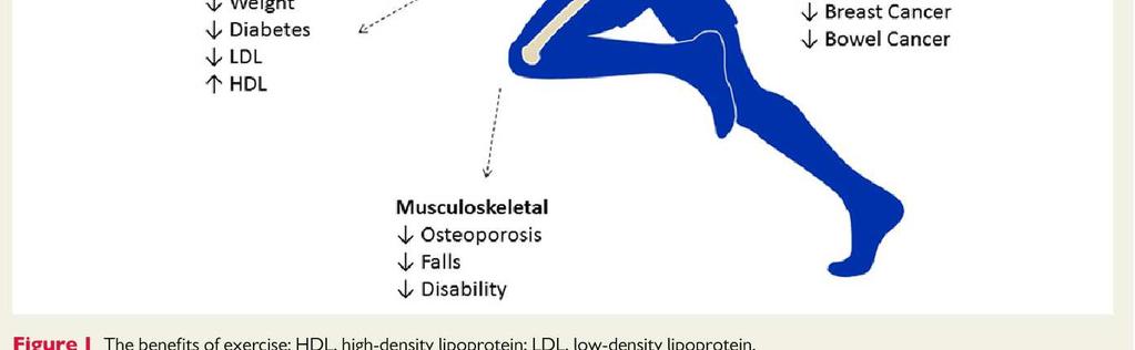 exercise: HDL, high-density
