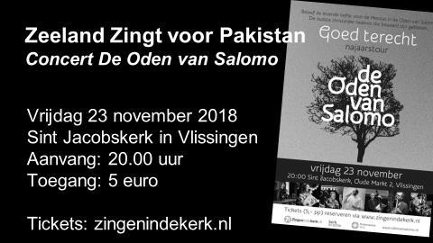 Op zoek naar een muzikale avond of middag tijdens de herfstdagen? In het weekend van 23 en 24 november worden er twee concerten georganiseerd in het kader van Zeeland Zingt voor Pakistan.