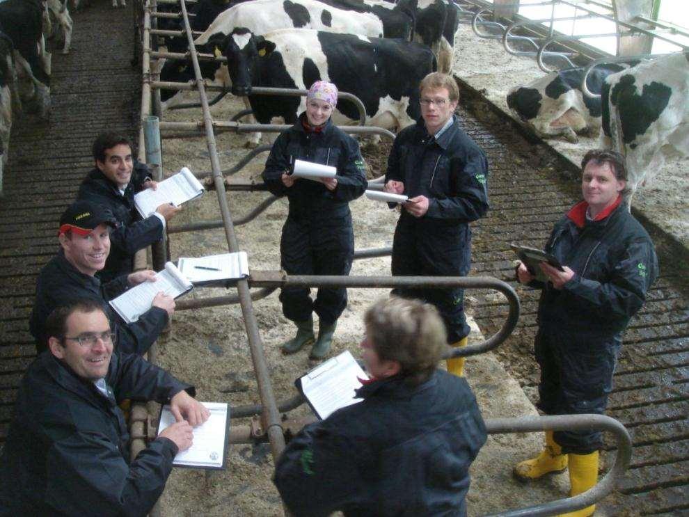 tussen boeren in de stal Gebruik niet