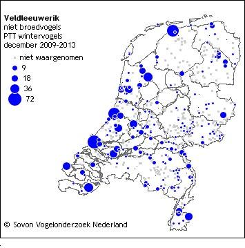 Het nest bestaat uit een in een graspol verscholen kommetje.