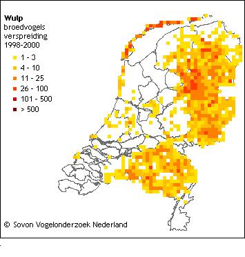 Wulp Zomertaling Wulp Wulp heeft een lang en gelijkmatig omlaag gebogen snavel. Het verenkleed is licht van kleur met donkerbruine verticale strepen over het gehele lichaam.