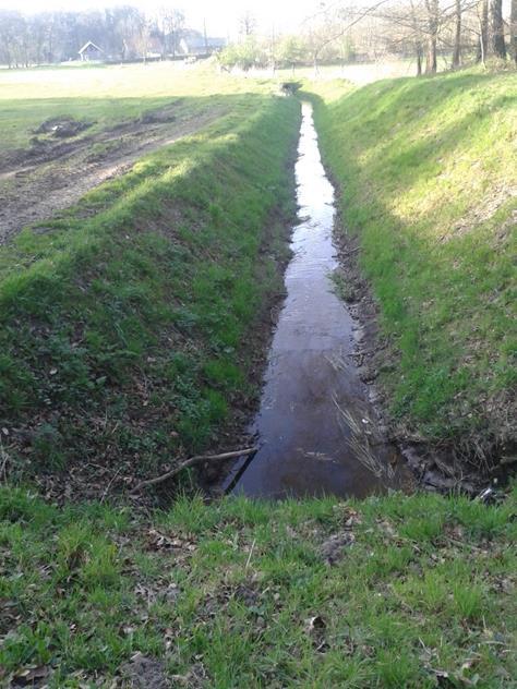 Waar de afvoer niet belemmert wordt is het verwijderen van dood hout in het water niet toegestaan. De houtwal uitrasteren met eikenhouten palen.