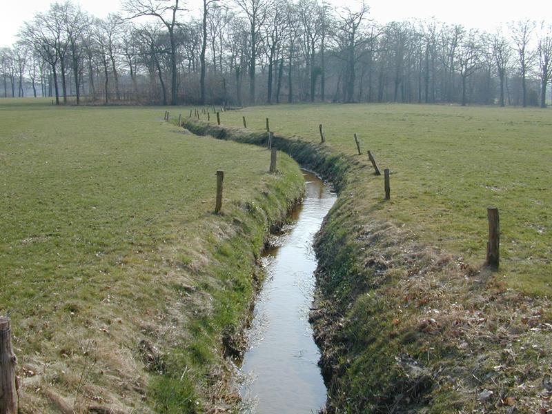 De beek kronkelt licht maar het grasland staat aan beide zijden tot op de insteek.