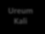 Export Ureum Kali Verbranden Energie P