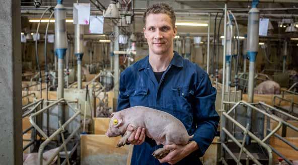 Daarin is goed beargumenteerd hoe omgegaan kan worden met dit soort ingewikkelde afwegingen in de nabijheid van een geitenhouderij.