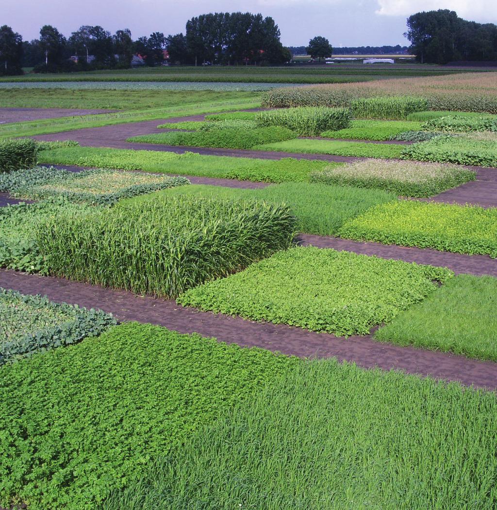 Het doel van