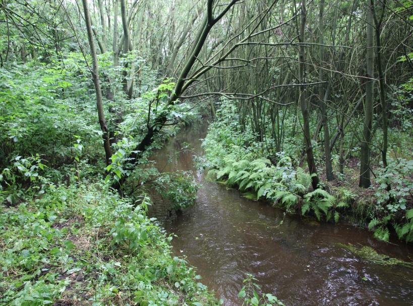 natuurlijke stuwen