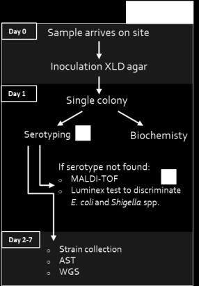 Na ontvangst krijgt elk staal een uniek nummer is de vorm S18BD0000x, en wordt de opgenomen metadata digitaal ingebracht in het STARLIMS systeem.