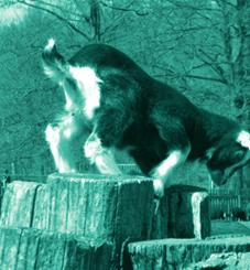 .. Met recht is er dan sprake van een verrijking van de leefomgeving. Gelukkig ziet de ook de gemeente Noordoostpolder het belang van de boerderij in en wordt er geld en tijd besteed aan o.a. alternatief groenbeheer.