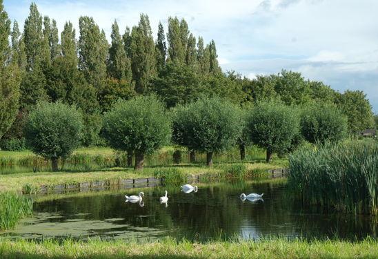 binnen handbereik, winkels, natuur maar ook het gezellig