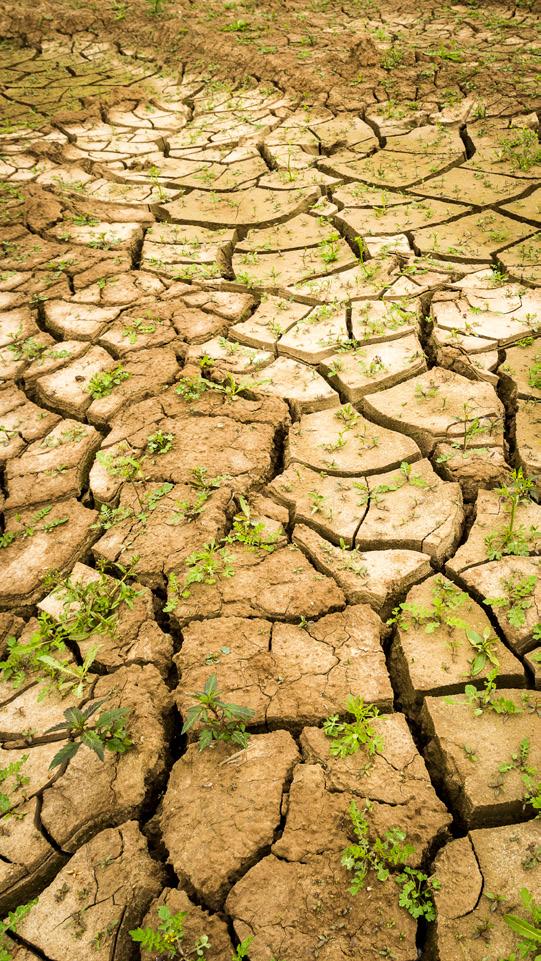 Voldoende schoon water: het is een voorwaarde voor veel bedrijven, leefbare steden, land- en tuinbouw, scheepvaart, gezonde natuur, drinkwatervoorziening en een aantrekkelijk landschap.