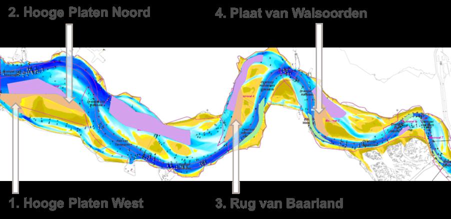 Sinds 2010 wordt baggerspecie ook gestort in diepe putten in de hoofdgeul en op de plaatranden Hoge Platen (Noord en West), Plaat Waalsoorden en de Rug van Baarland (zie figuur).