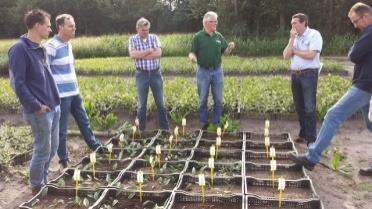 één jaar in kas met fertigatie Continue gift van water en voeding Kokos als