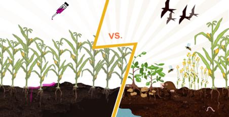 veldsituatie (kas en/of veld): - Effect op interactie tussen soorten: competitie en facilitatie Uitbreiding van ecohydrologisch