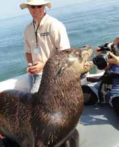 De volgende ochtend maken we een onvergetelijke boottocht (LEVO Dolphin and Seal charter) vanuit het naburige kuststadje Walvisbaai.