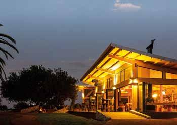 OVERNACHTINGEN: Kalahari Anib Lodge**** Ligging: In hartje Gondwana Kalahari Park, genesteld als een groene oase tussen