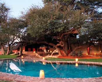 Activiteiten: Game drive Gondwana Kalahari Park, wandelingen, vogelobservatie.