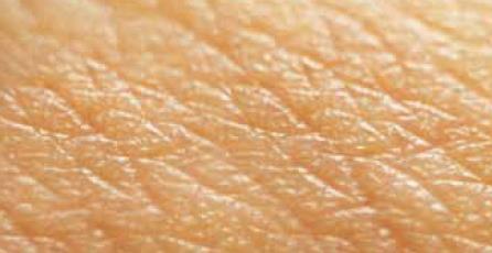 6. Auw! Met je huid kun je verschillende prikkels voelen: iets zachts, iets ruws, iets harigs Je voelt dat schuurpapier anders is dan fluweel.