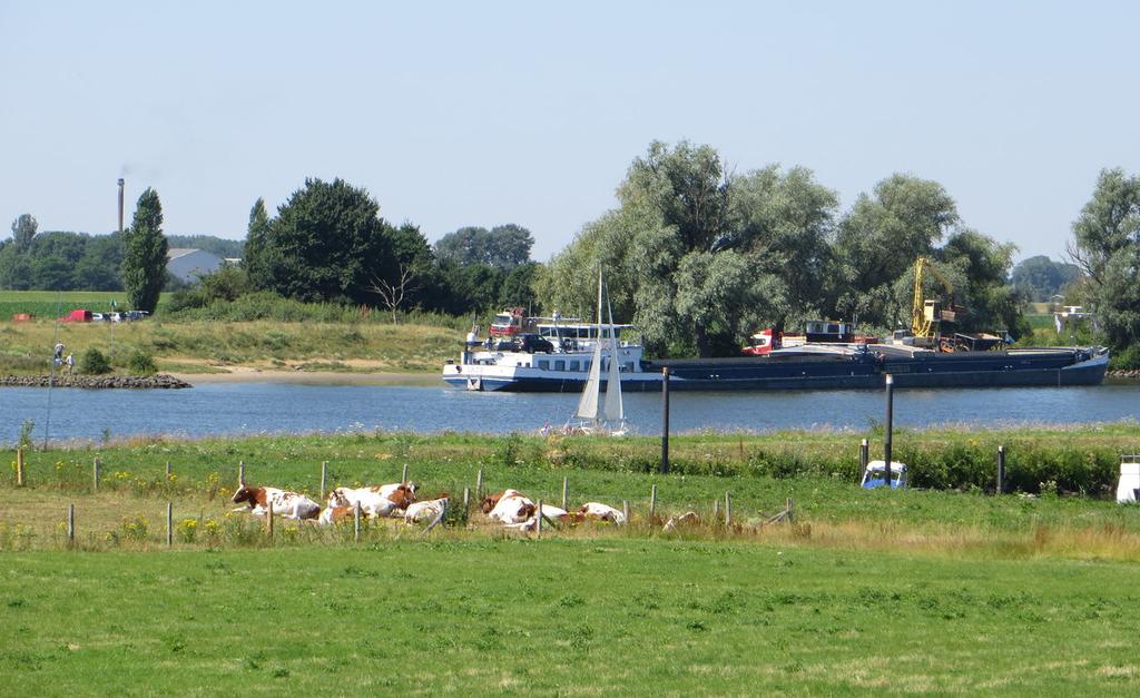 Omgeving Ammerzoden ligt in het prachtige rivierenlandschap van de Bommelerwaard tussen de Maas en de Waal.