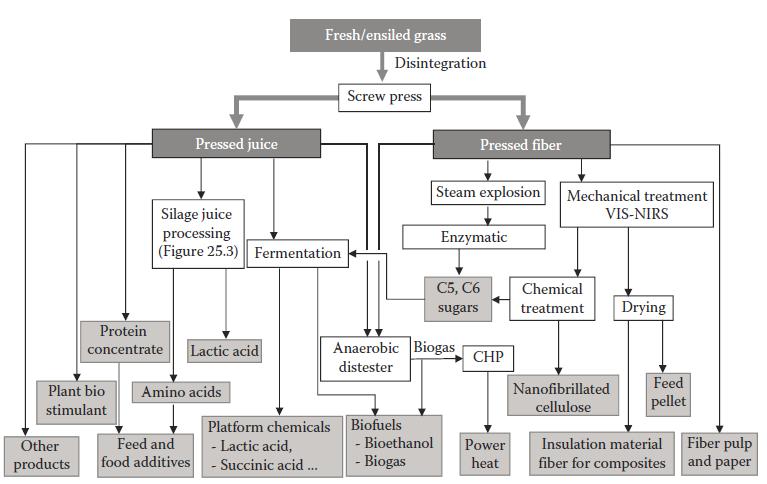 Grasraffinage Bron: Sustainable Bio-energy Production 1th Edition; Chapter: