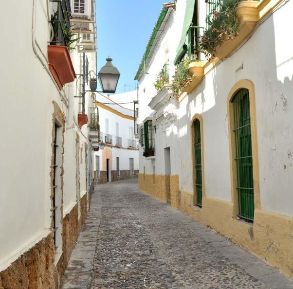Programma Tijdens deze 8-daagse rondreis in het Zuiden van Spanje ontdekt u het mooiste van Andalusië.