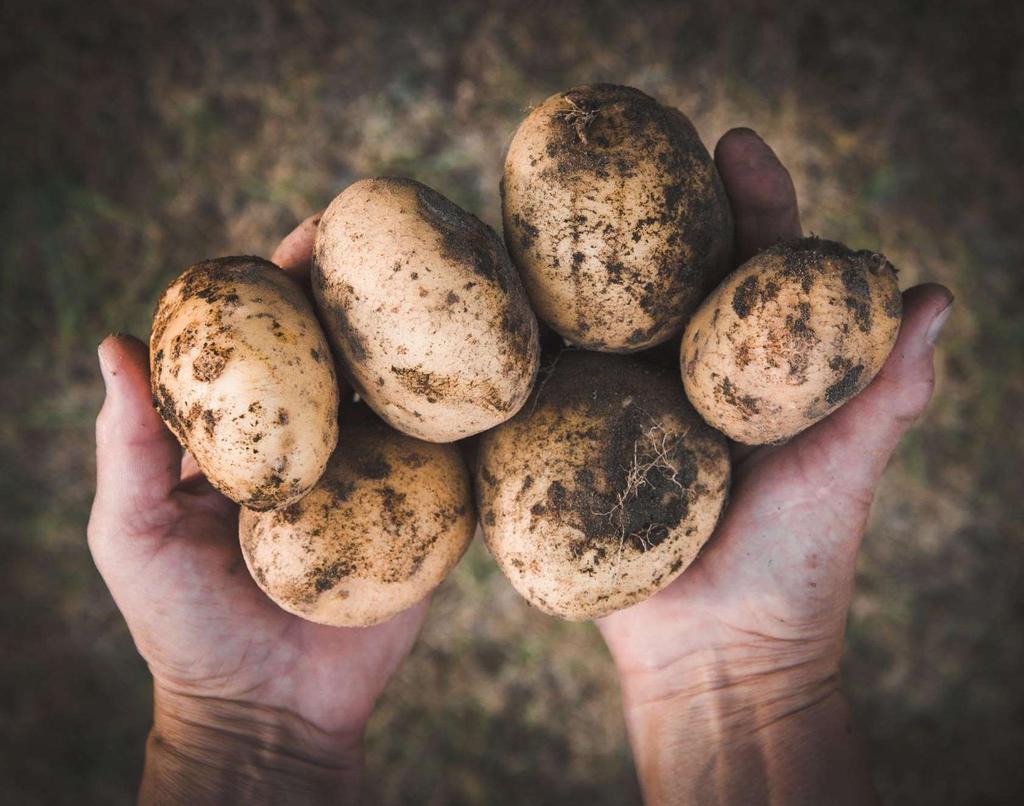 Kostprijs van aardappelen