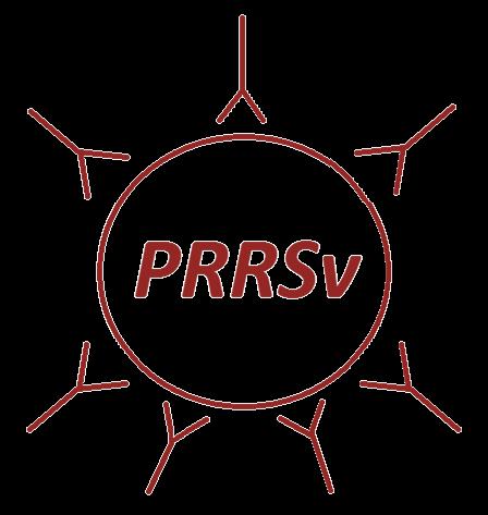 De PRRSv-status van een bedrijf Wat is een PRRSv-status?