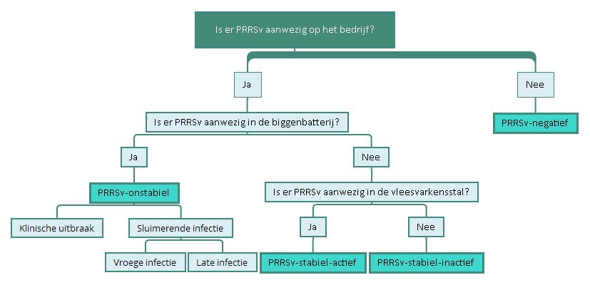 De PRRSv-status van een bedrijf Samenvatting PRRSv-Status = Drie vragen 4