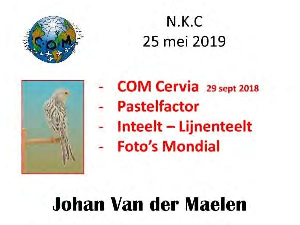 Nederlandse Kleurkanarie Club Dutch Colorbred Canary Society Société Canaris Couleurs des Pays-Bas