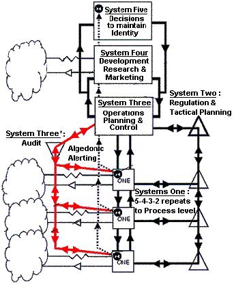 Het Viable System Model (hierna VSM genoemd) van Stafford Beer is een uitwerking van de systeemtheorie die bruikbaar lijkt. [5] [6] [7].