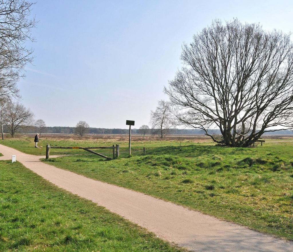 Deze ruime hoekwoning is gelegen in een woonwijk met voornamelijk jaren '30 bouw. Het huis is gelegen aan een auto-vrije boomrijke laan wat perfect is voor gezinnen met kinderen.