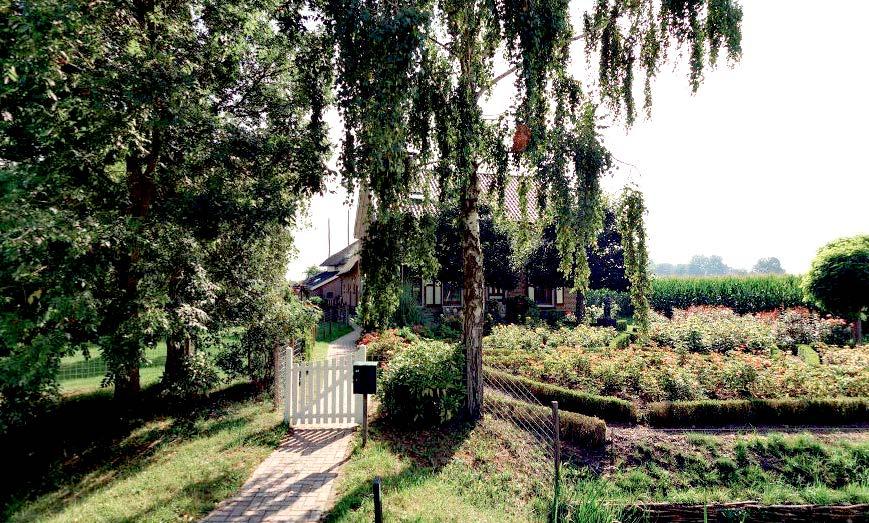 Wijzigingsplannen aan of bij Monumenten 5 Achterstraat 24, Varik Bij wijzigingsplannen voor monumenten of in het beschermd dorpsgezicht is het beleid gericht op behoud en versterking van de